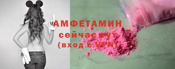 соль ск Няндома