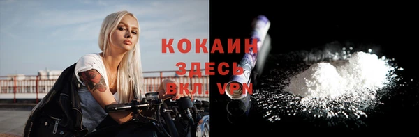 соль ск Няндома
