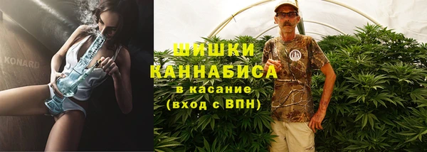 соль ск Няндома