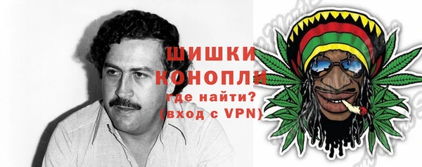 соль ск Няндома