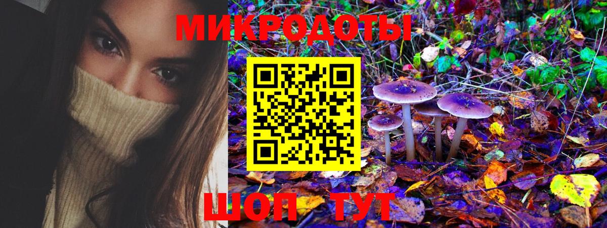 Сертолово  Галлюциногенные грибы Psilocybine cubensis  Вход с VPN  Псилоцибиновые грибы Psilocybe 
