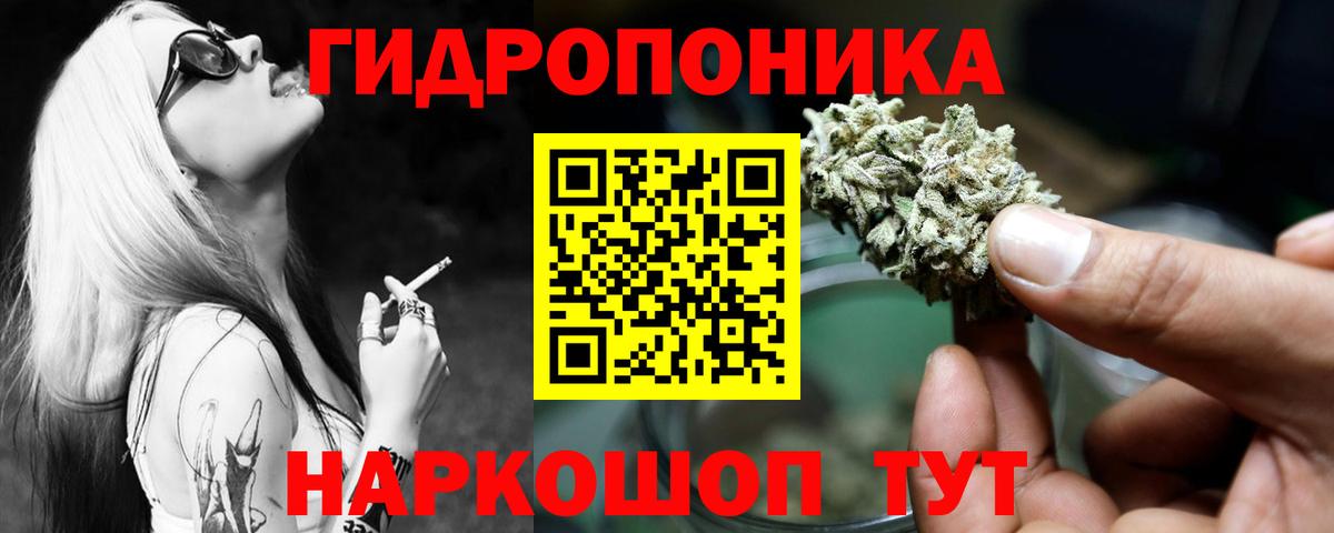 Бошки марихуана конопля  Вход с VPN  Каннабис OG Kush  Сертолово  Канабис LSD WEED 